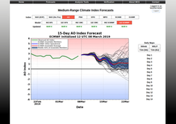 World Climate Service Medium-Range Index Forecasts